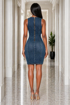 The Jordyn Denim Dress